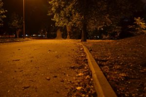 Borisova Gradina Night