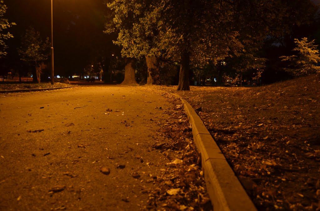 Borisova Gradina Night