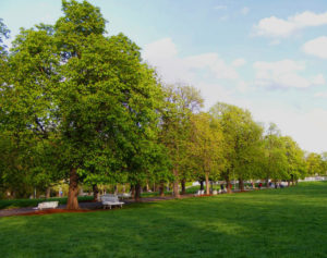 Borisova Gradina Sofia