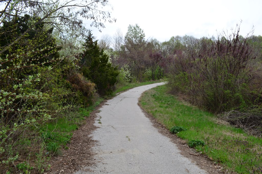 Little path, Pirin Mountains