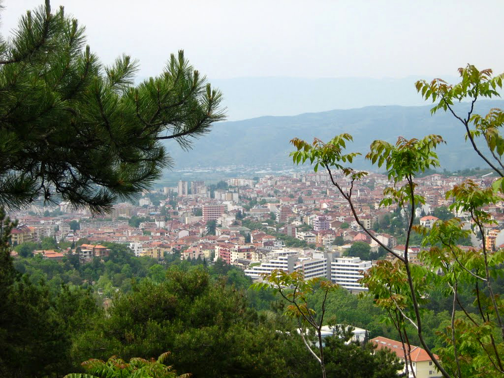 Sandanski panoraminc view