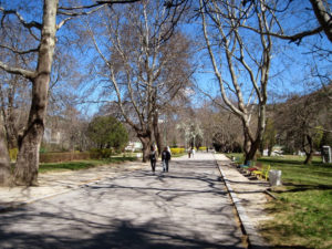 Sandan Park, alley