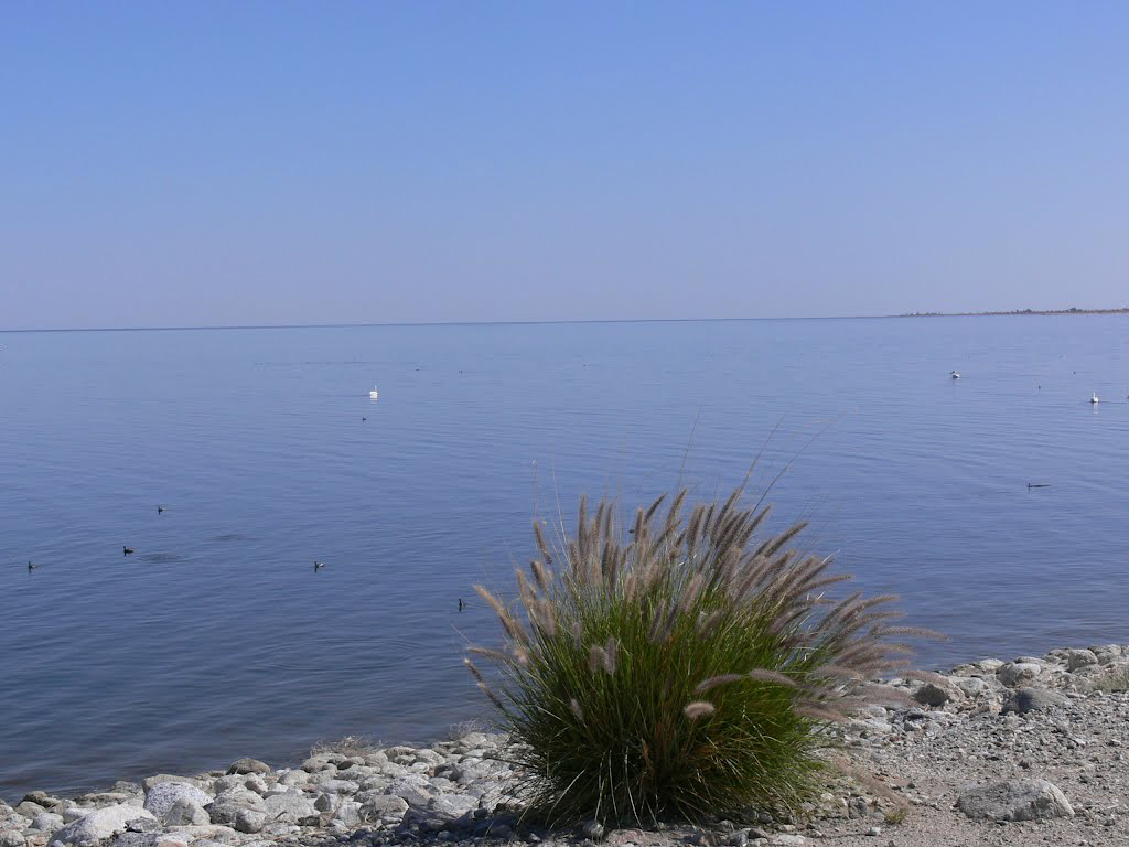 Salton Sea