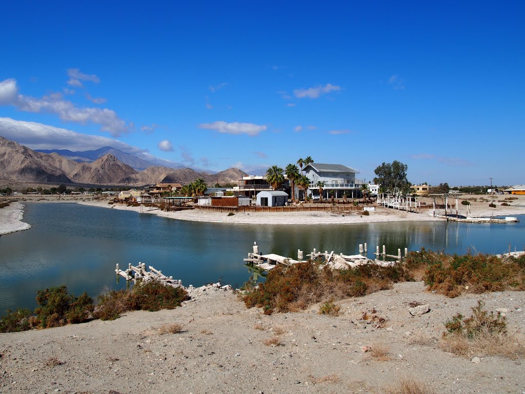 Salton Sea shores