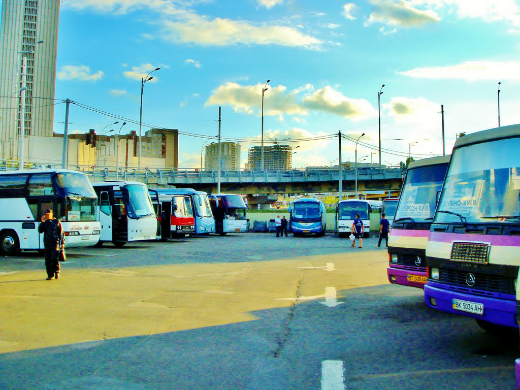 Buses at Kyiv bus station