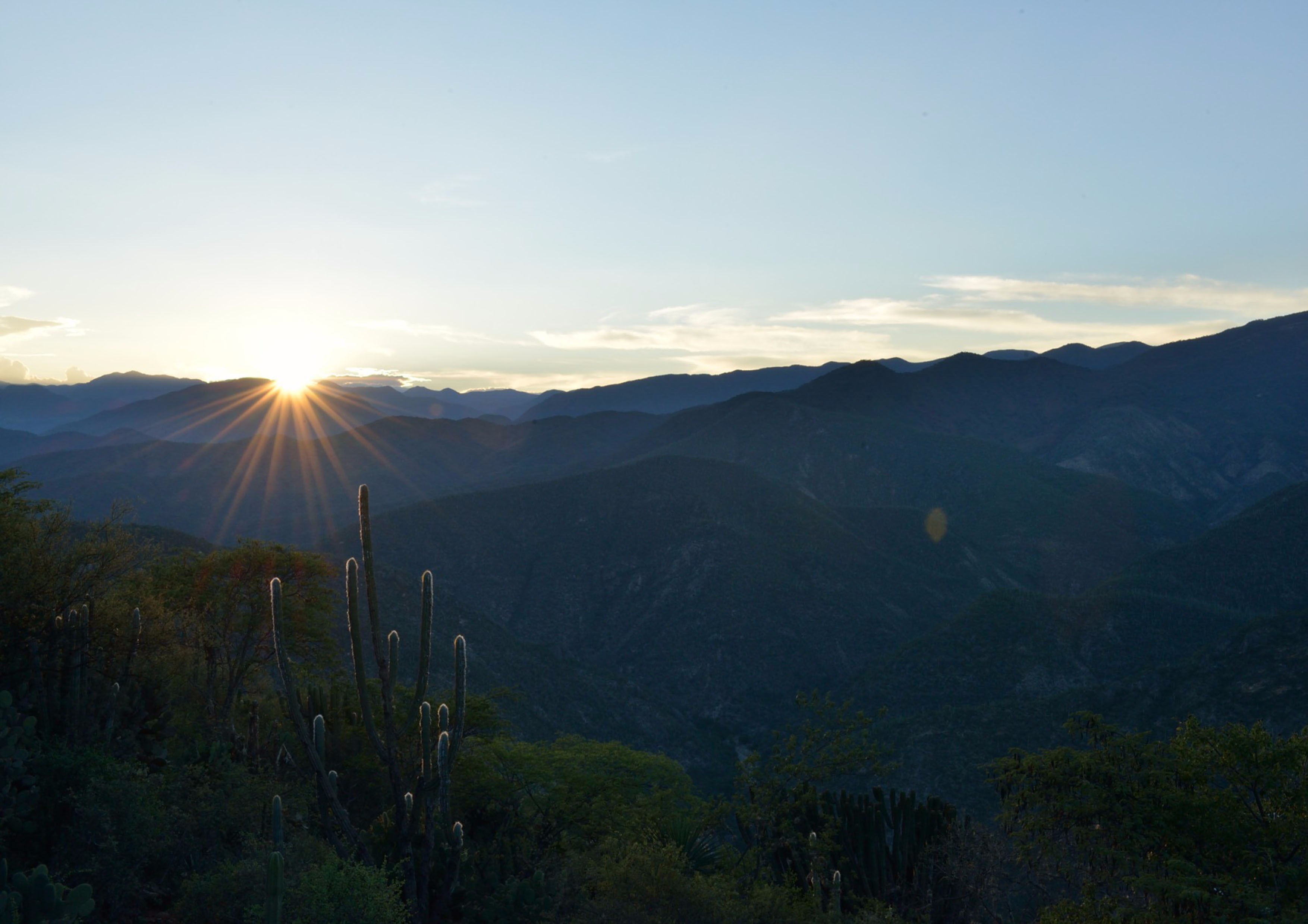Tehuacan Landscape