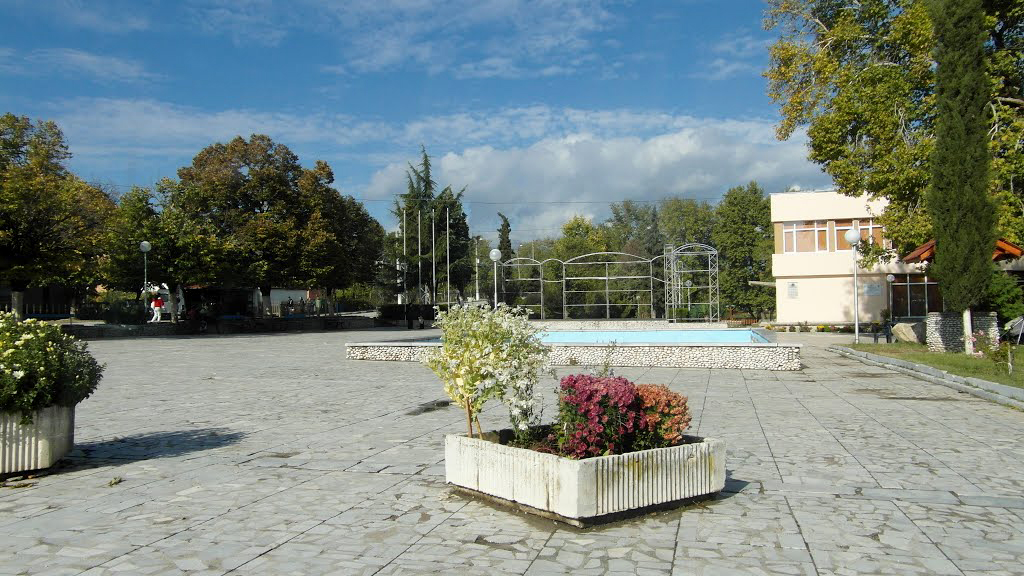 Flowerbed in the center of Mikrevo town