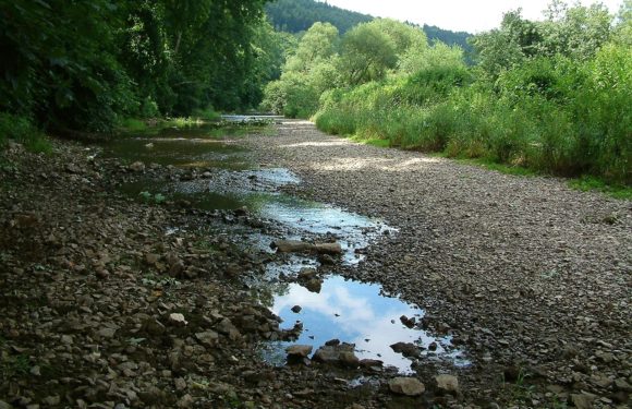 Danube Sinkhole: where the waters change river