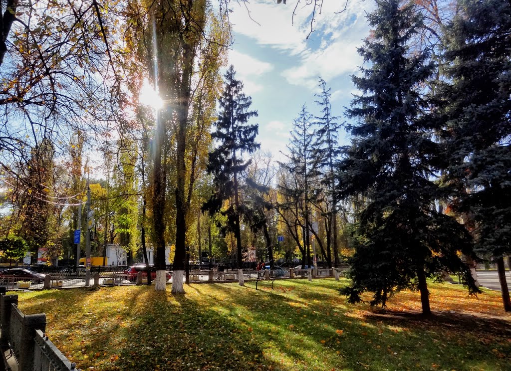 Park in Kyiv