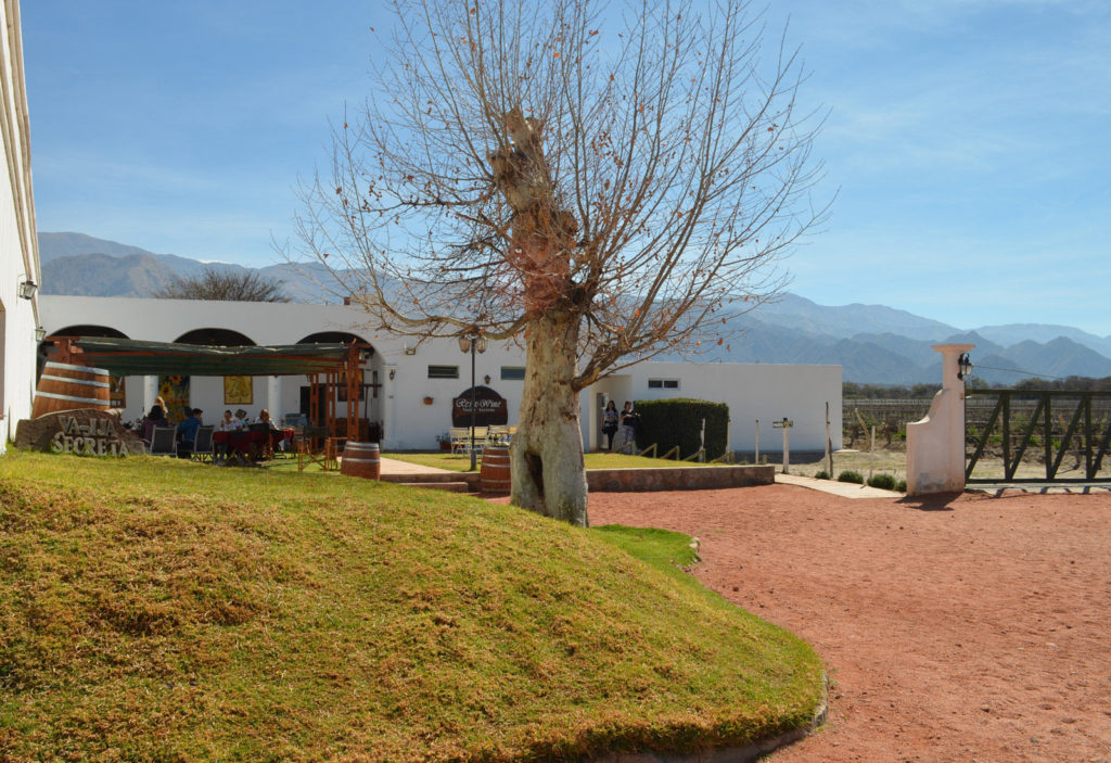 Outside bar, winery Vasija Secreta
