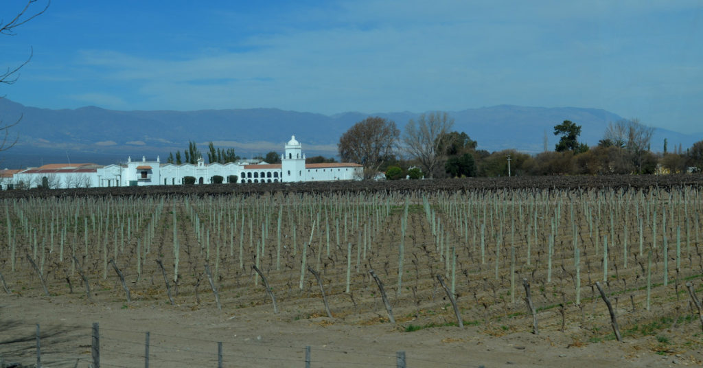 Winery and hotel in Cafayate
