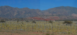 Cafayate Mountains