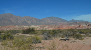 arid lands and bushes, cafayate quebrada de las conchas