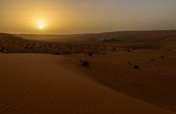 Saudi Arabia will facilitate the entry of international tourists